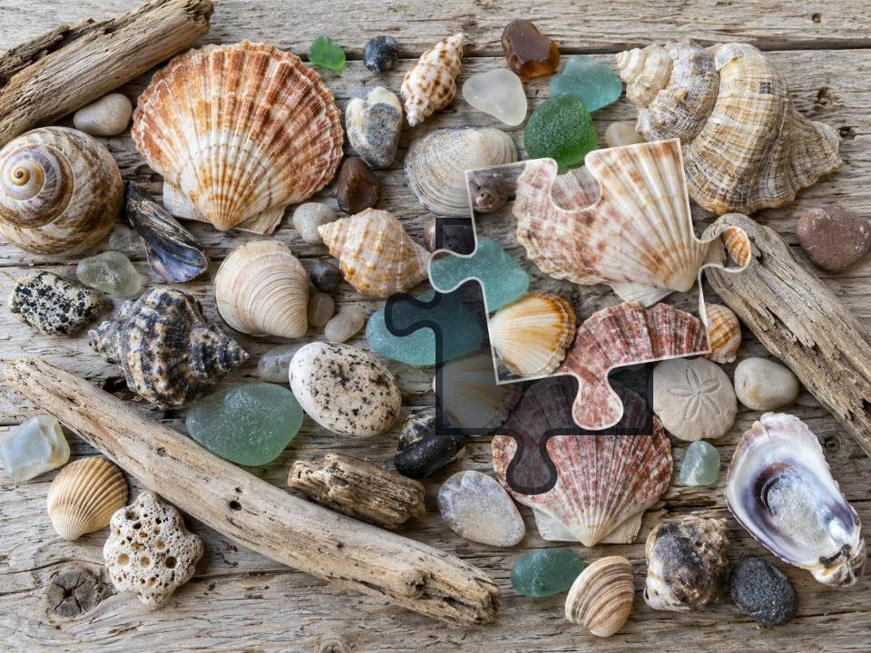 Seashells, sea glass, smooth pebbles and driftwood arranged on pale weathered wooden planks.