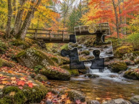 Woodland footbridge over a shallow stream surrounded by copper, red, gold and green autumn leaves.