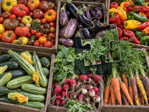 Wooden market crates filled with tomatoes, aubergines, peppers, courgettes, radishes and leafy carrots.