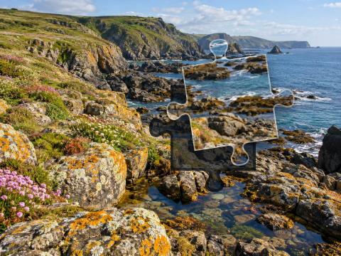 Rocky coast with tide pools, colorful lichens, coastal flowers and distant headlands.
